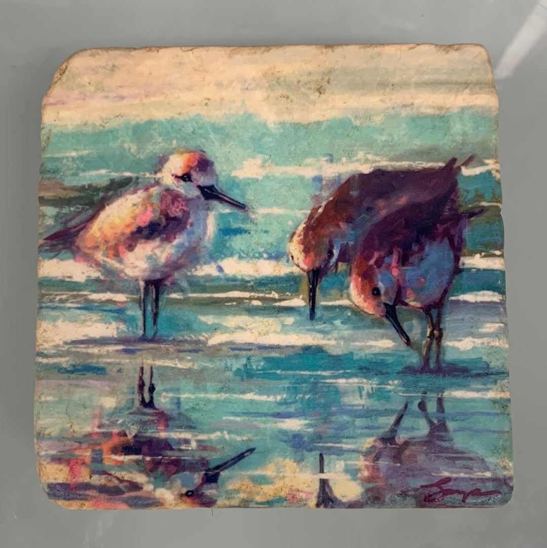 Three Shorebirds Coaster