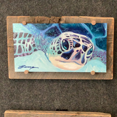 Turtle blues
